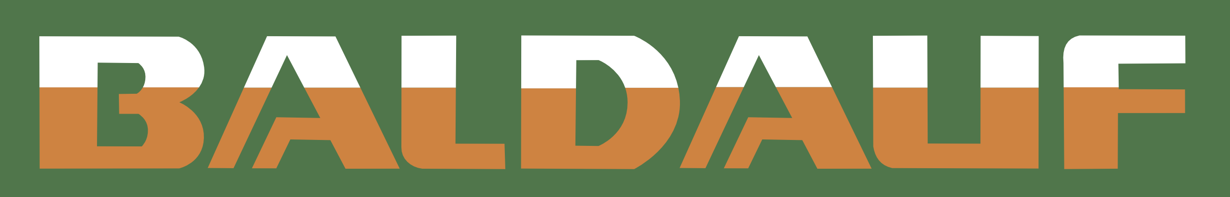 BALDAUF Heizung + Sanitär